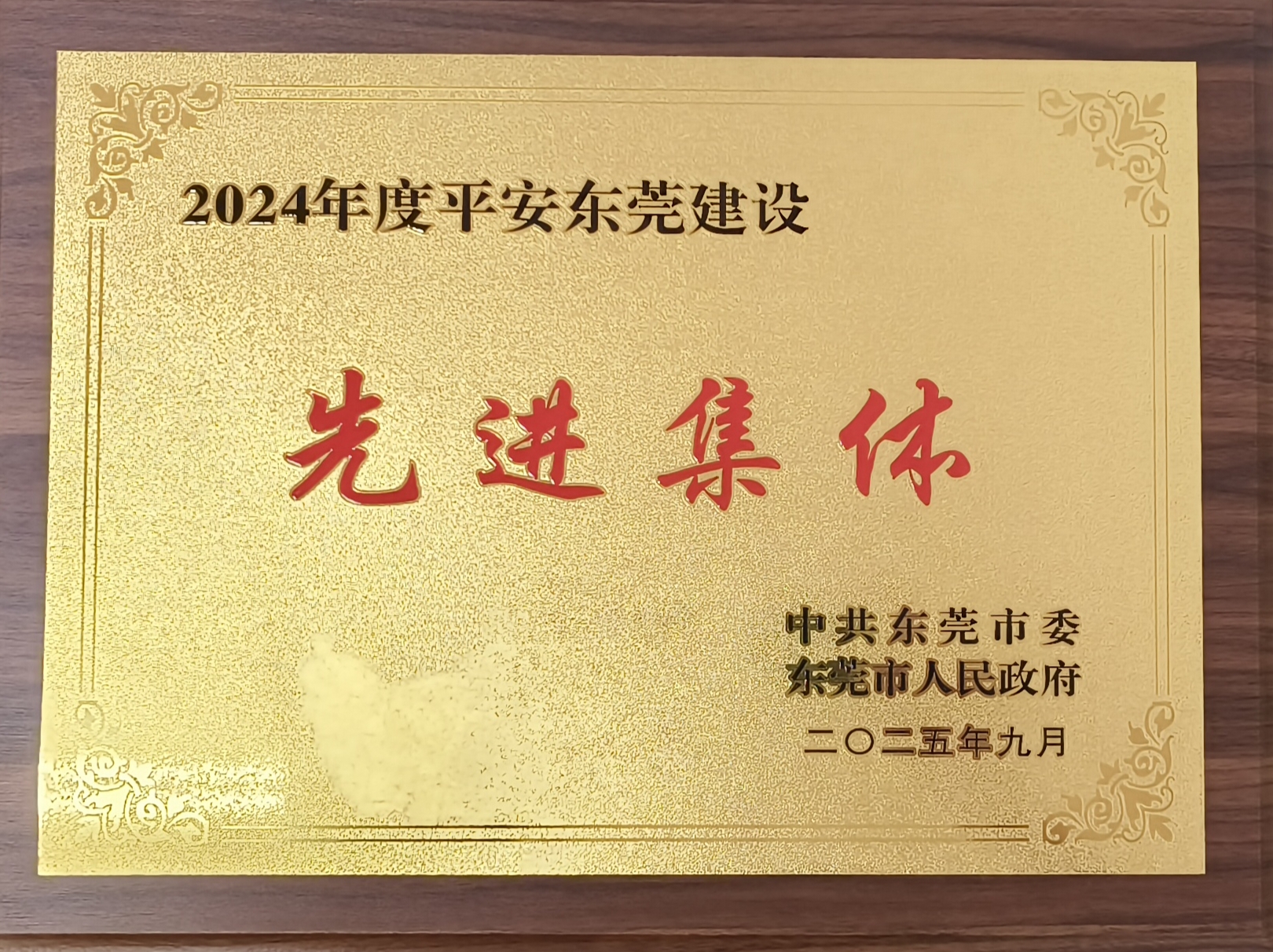 东莞市残联康复部荣获“2024年度平安东莞建设先进集体”称号